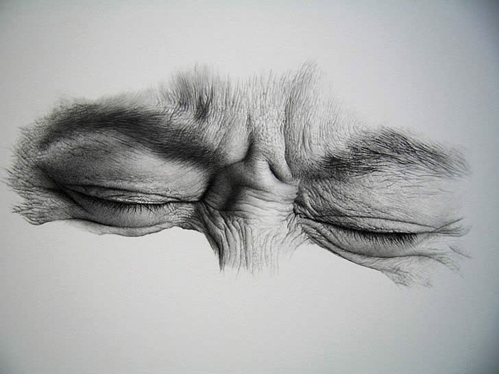 Drawing with a Pencil: Learn Drawing Techniques