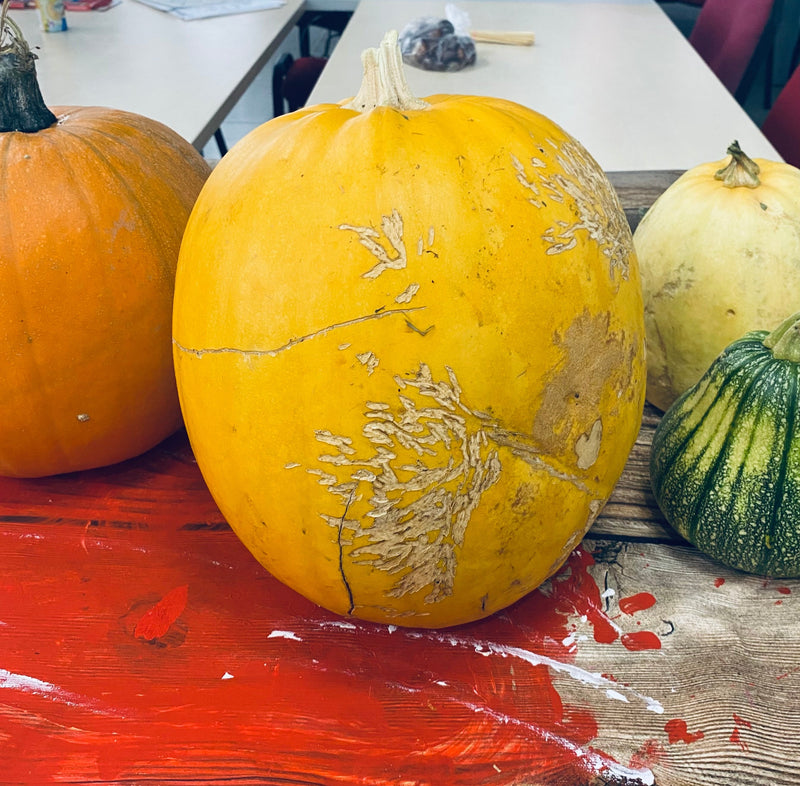 How to Create Halloween Decorations