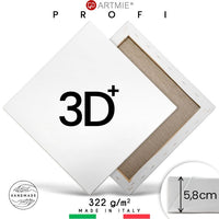 3D+ Maliarske plátno na ráme PROFI | Rôzne rozmery — obrázok 3