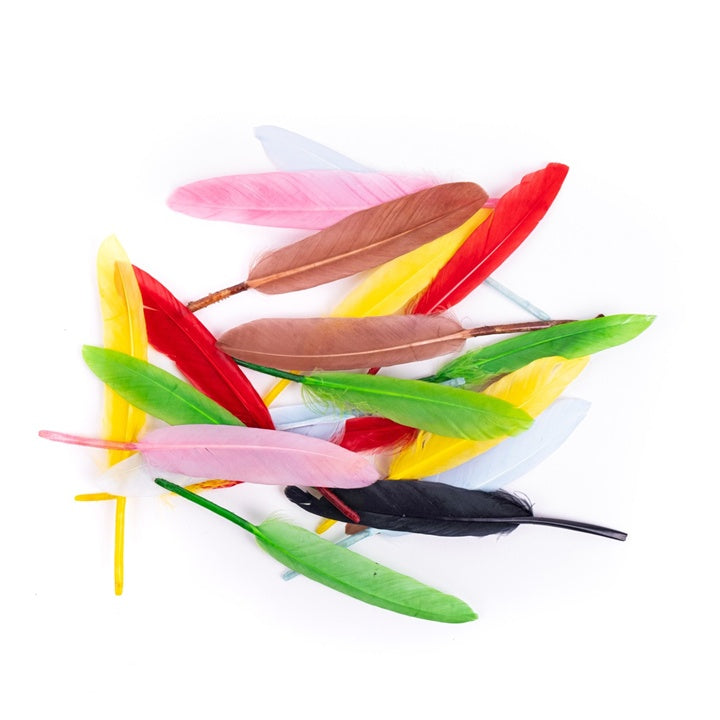 Husacie pierka 13 cm | pestrofarebné, 20 ks