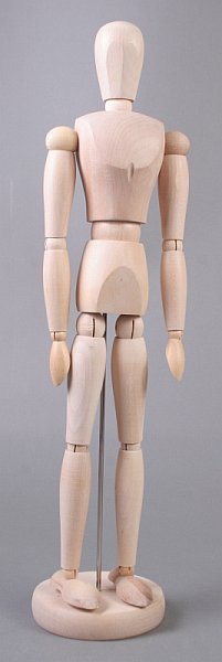 Drevený model ľudského tela - muž - 40 cm