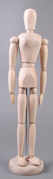 Drevený model ľudského tela - žena - 40 cm