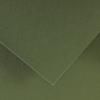 CANSON Colorline farebný papier 50 x 65 cm 150 g - 10H – Khaki zelená 89