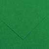 CANSON Colorline farebný papier 50 x 65 cm 150 g - 10H – Machová zelená 30