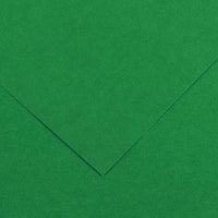CANSON Iris Vivaldi farebný papier 70 x 100 cm 240 g 25H – Machová zelená 30