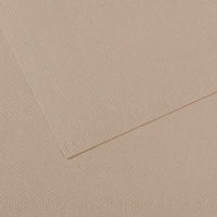 Canson Mi-Teintes papier na pastel 50 x 65 cm 160 g 25H – Flanelová sivá 122