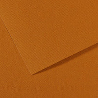 Canson Mi-Teintes papier na pastel 50 x 65 cm 160 g 25H – Havanna svetlá 502
