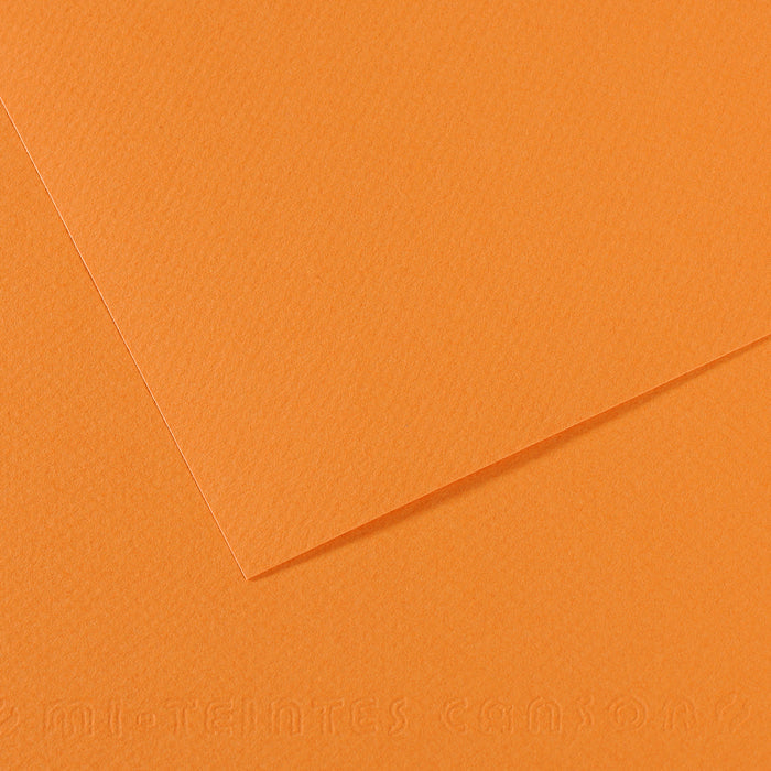 Canson Mi-Teintes papier na pastel 50 x 65 cm 160 g 25H – Svetlá koža 384