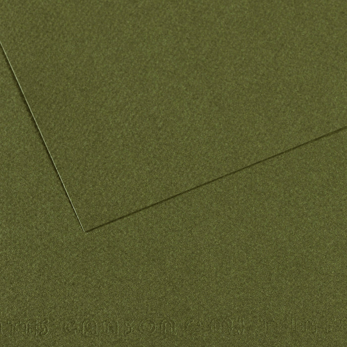 Canson Mi-Teintes papier na pastel A4 160 g/m² 25H – Brečtanová 448