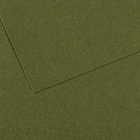Canson Mi-Teintes papier na pastel A4 160 g/m² 25H – Brečtanová 448
