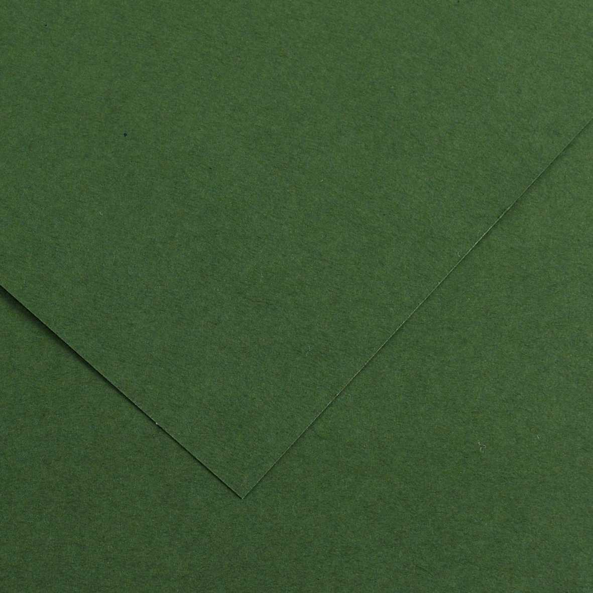 Farebný papier CANSON Vivaldi A3 185 g - 50H – Jedľová 31