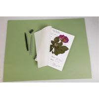 Herbár Clairefontaine 180 g/m² 21 x 21 cm - 32 listov