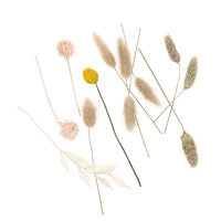 Mini sušená kytica "Beige Touch" / 20 cm — obrázok 2