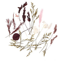 Mini sušená kytica „Burgundy Queen“ / 20 cm — obrázok 1