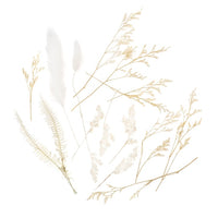 Mini sušená kytica „Vanilla Dream“ / 20 cm — obrázok 1