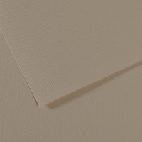 Papier na pastel CANSON Mi-Teintes A4 / 160 g/m² – 50 listov – Ustricová 340