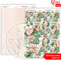 Papiere na scrapbooking King Protea A4