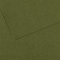 Tónovaný papier Canson Mi-Teintes 50 x 65 cm – 160 g/m² – Brečtanová 448