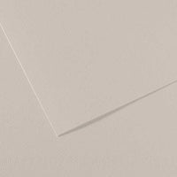Tónovaný papier Canson Mi-Teintes 50 x 65 cm – 160 g/m² – Perleťová sivá 120