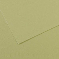 Tónovaný papier Canson Mi-Teintes 50 x 65 cm – 160 g/m² – Svetlozelená 480