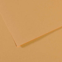 Tónovaný papier Canson Mi-Teintes 50 x 65 cm – 160 g/m² – Ustricová 340