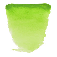 ROYAL TALENS Van Gogh akvarelová farba 10 ml Permanent Yellowish Green